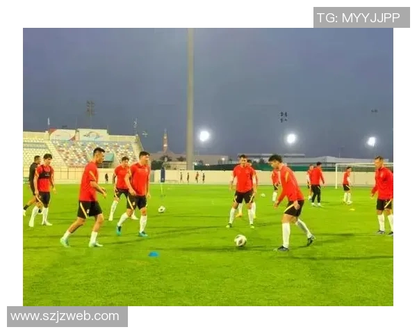 深圳足球队的蜕变之路总决赛特别报道展现新风貌与未来愿景 深圳足球队的蜕变之路总决赛特别报道展现新风貌与未来愿景