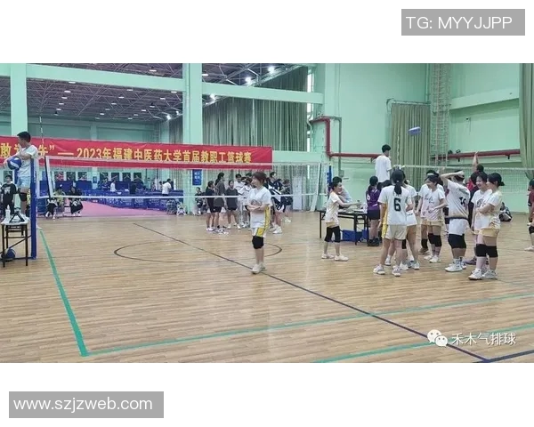 南京排球队进攻策略全解析深度剖析排球技战术与团队协作之道